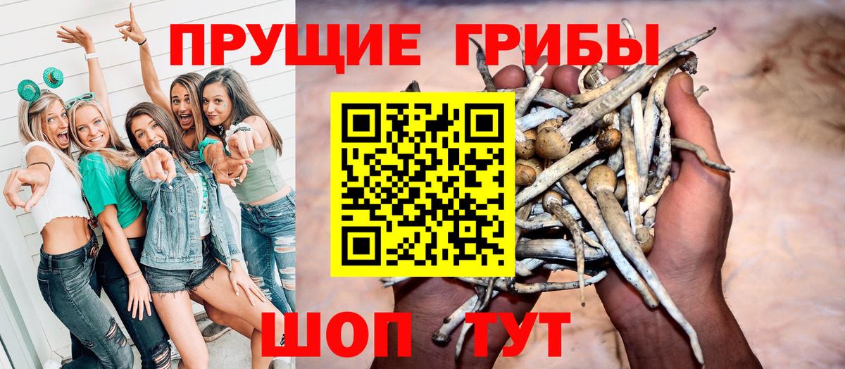 Псилоцибиновые грибы Psilocybine cubensis Новочеркасск