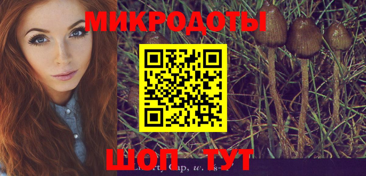 Новочеркасск  Псилоцибиновые грибы Magic Shrooms  Галлюциногенные грибы Psilocybine cubensis  Вход с VPN 